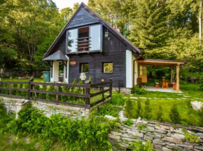 Holiday Home Dolní Jílovice by Interhome Vyšší Brod